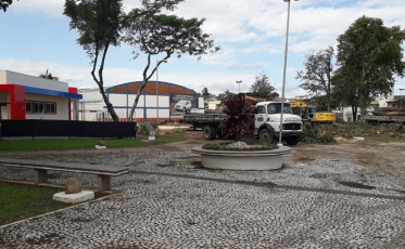 “Não é preciso autorização para cortar eucaliptos”, diz presidente da Famcri sobre corte de árvores na Praça da Chaminé