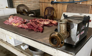 Fake: Carne de cachorro para consumo humano em Morro da Fumaça