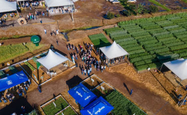 Campo Agroacelerador da Cooperja estimula a diversificação no campo