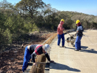 [Áudio] Pavimentação da Serra do Faxinal deve ser concluída até novembro