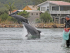 Grupo de Trabalho do Boto Pescador debate sustentabilidade na pesca artesanal