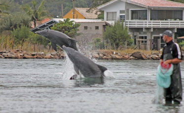Grupo de Trabalho do Boto Pescador debate sustentabilidade na pesca artesanal