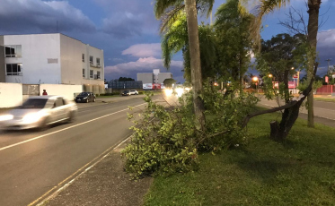 Rajadas de até 91 km/h causam estragos em Criciúma