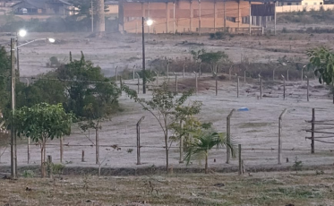 Tá frio aí? Geada cobre região de Criciúma nesta quarta-feira; veja as fotos