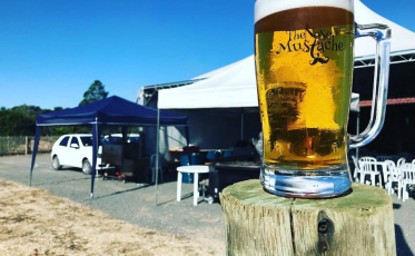 Com tele-entrega predominando, isolamento social aumenta custo das cervejarias