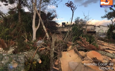 Rajadas fortes de vento provocam ocorrências em Criciúma