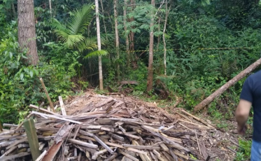 Taxista de Urussanga foi morto por asfixia