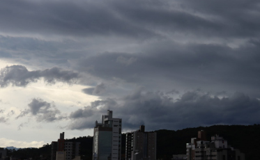 Ventos causam danos na região; galho de árvore cai sobre telhado de escola em Forquilhinha