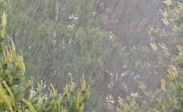 El Niño: fenômeno se antecipa e muda inverno em SC