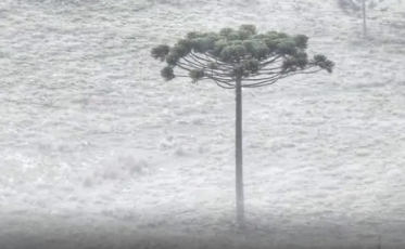 A primeira temperatura negativa do ano em Santa Catarina