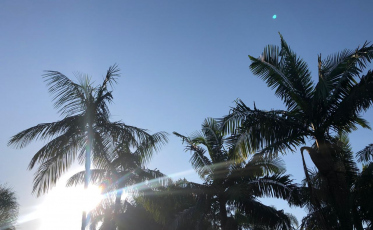 Sensação térmica em Criciúma passou dos 40ºC