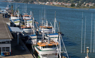 Terminal Pesqueiro de Laguna será estadualizado hoje