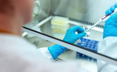 Santa Catarina registra mais 446 casos de Covid-19