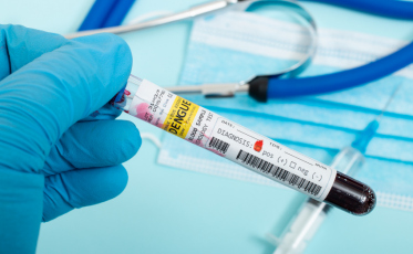 Prefeitura de Criciúma adquire testes rápidos para diagnóstico de dengue