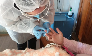 Covid-19: Acamados e cuidadores testados em Cocal do Sul