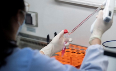 Estados e municípios receberam mais de R$ 7 bi