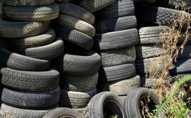 Municípios têm até sexta-feira para aderir à campanha Programa Penso, Logo Destino (PLD) 