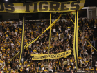 Criciúma abre venda de ingressos para o único jogo no Majestoso em maio