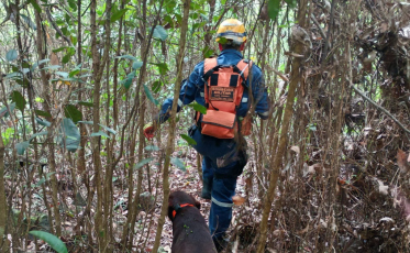 Homem é encontrado morto após 11 dias desaparecido em Nova Veneza