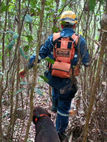 Homem é encontrado morto após 11 dias desaparecido em Nova Veneza