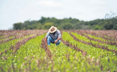 Operação identifica trabalhadores com Covid-19 em propriedade rural