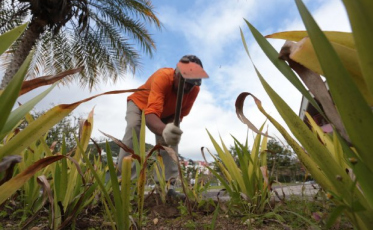 Taxa de desemprego em Santa Catarina cai para 5,3% e é a menor do Brasil