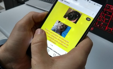 Alunos da Unesc desenvolvem trabalhos de zoologia para redes sociais