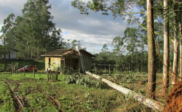 Treviso inicia cadastramento para saque do FGTS na segunda-feira