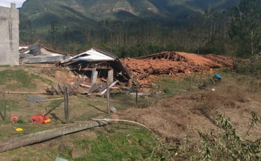 Treviso: ventos fortes derrubam aviário e deixam R$ 600 mil em prejuízos