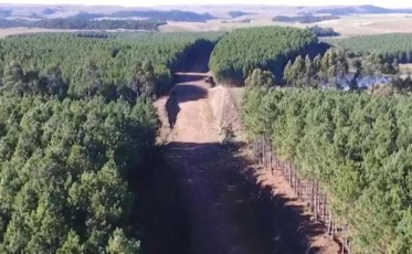 No Rio Grande do Sul, a expectativa na BR-285