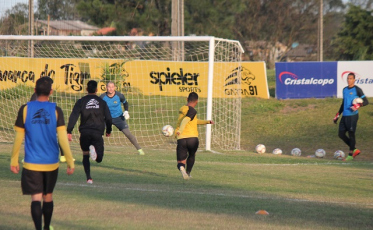 Na contagem regressiva, Tigre treina para a volta