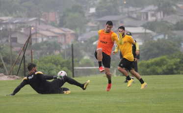 Tigre: Primeira parte da pré-temporada termina nesta semana