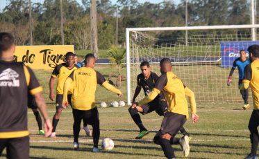 Os testes de Cavalo para mudar o Tigre