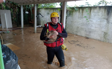Chuvas em SC: 54 municípios decretaram situação de emergência