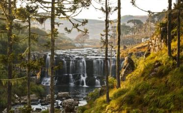 Audiência pública irá discutir a retomada do turismo em SC