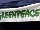 Sustentabilidade nos negócios: Greenpeace marca presença no Empreende SC 2023