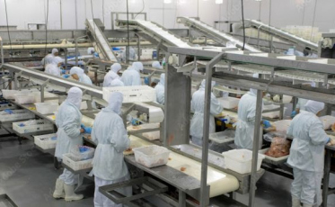 Trabalho em frigoríficos: audiências públicas no estado discutem revisão da NR 36 