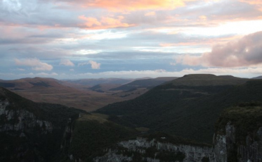 Pesquisa gera e transmite conhecimento sobre biodiversidade no estado