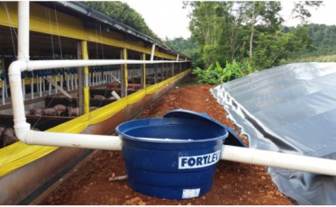 Estado irá investir R$ 1,5 milhão em programa para incentivar armazenagem de água