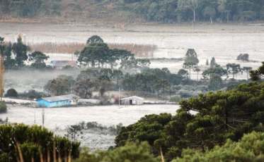 Geadas na Serra continuam até segunda-feira 
