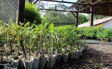 Projeto “Urussanga em Ação” aproxima Prefeitura da comunidade