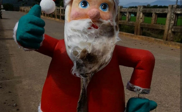 Bonecos de Natal furtados em Turvo são encontrados em três cidades diferentes