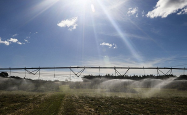 Valor da produção agropecuária de 2019 atinge recorde de R$ 630,9 bi