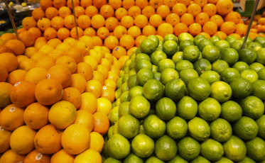 Conab diz que frutas registram queda de preços