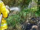 Incêndio atinge vegetação em Morro da Fumaça
