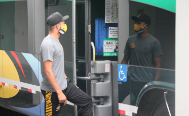 Tigre concentrado para mais um desafio