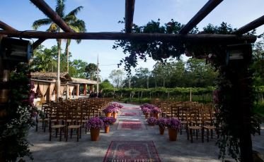 [Áudio] Vigna Mazon celebra conquista da uva Goethe com festival