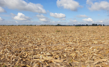 Tubarão decreta situação de emergência por conta da estiagem
