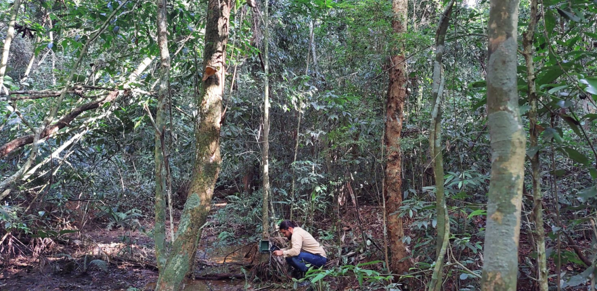Olhares que trazem novas perspectivas às belezas naturais de Criciúma