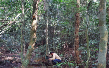 Olhares que trazem novas perspectivas às belezas naturais de Criciúma